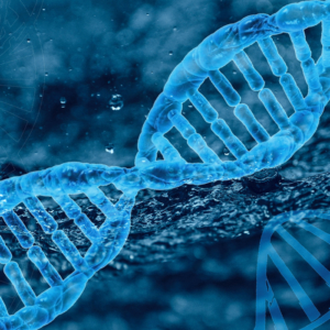DNA-5695421 by Furiosa, Pixabay